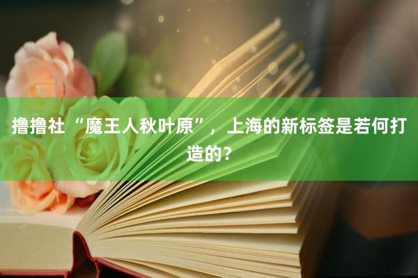 撸撸社 “魔王人秋叶原”，上海的新标签是若何打造的？