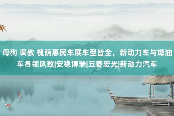母狗 调教 槐荫惠民车展车型皆全，新动力车与燃油车各领风致|安稳博瑞|五菱宏光|新动力汽车