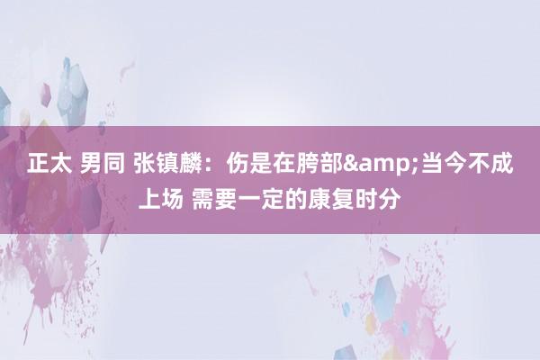 正太 男同 张镇麟：伤是在胯部&当今不成上场 需要一定的康复时分